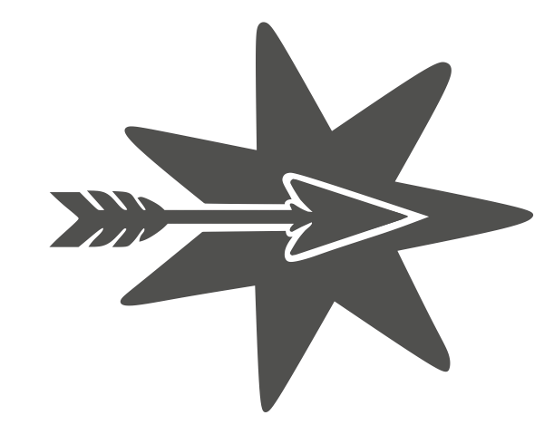 Pioneer Marketing Star and Arrow logo